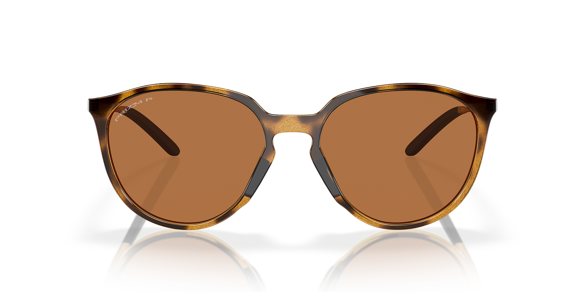 Polished Brown Tortoise