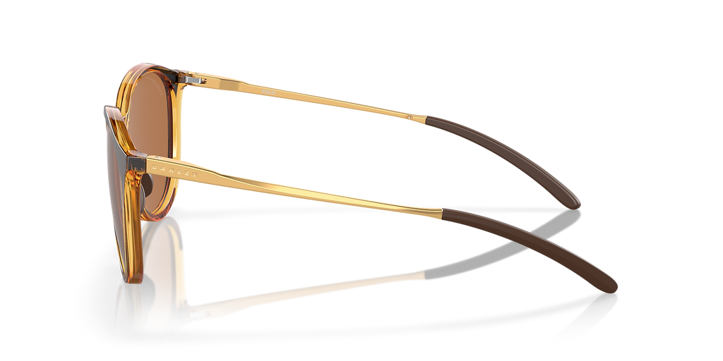 Polished Brown Tortoise