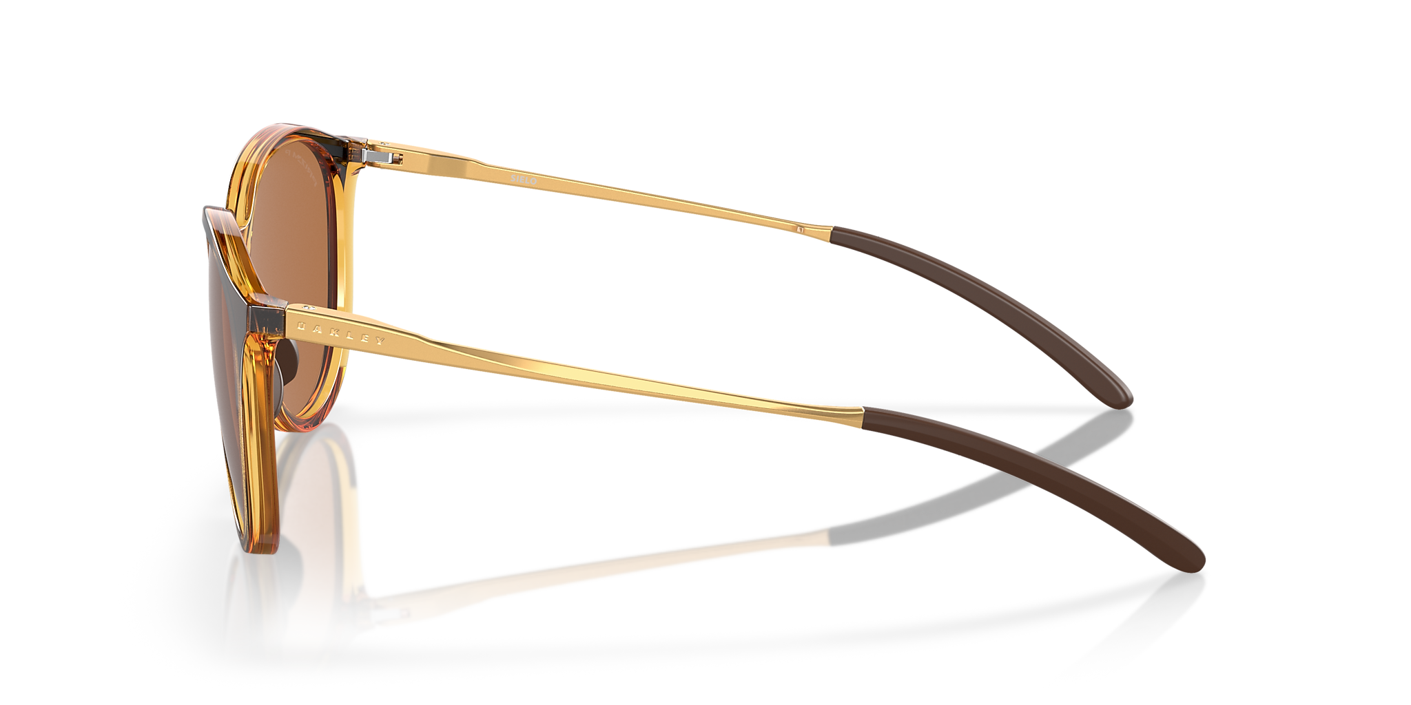 Polished Brown Tortoise