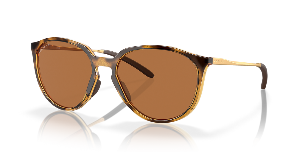 Polished Brown Tortoise