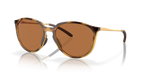 Polished Brown Tortoise