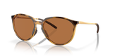 Polished Brown Tortoise