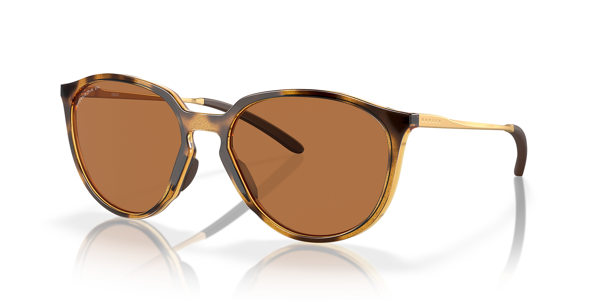 Polished Brown Tortoise
