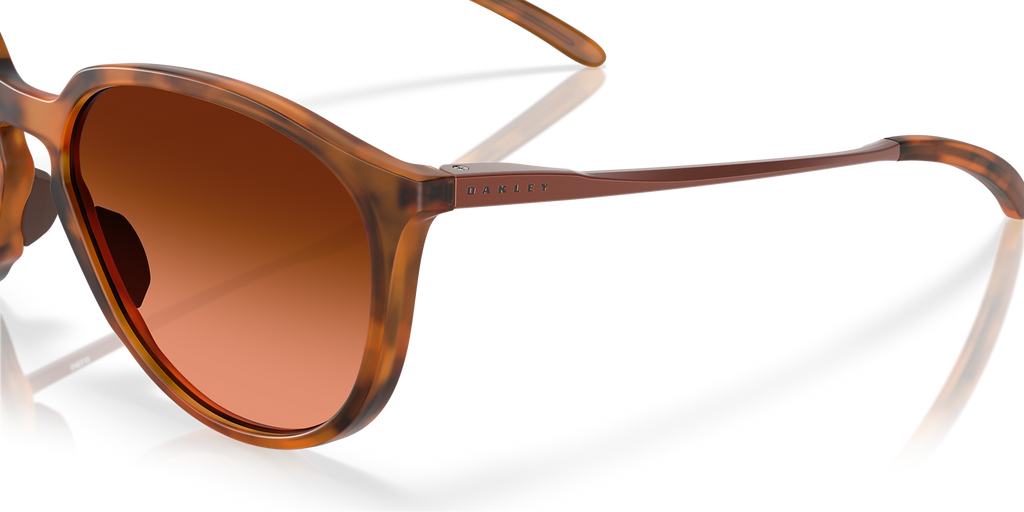 Matte Ginger Tortoise