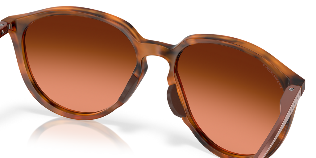 Matte Ginger Tortoise