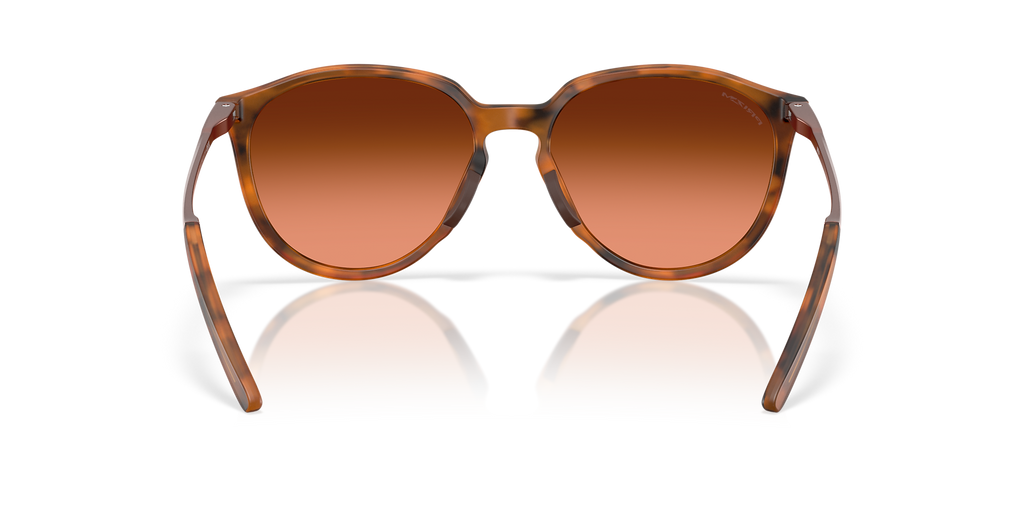 Matte Ginger Tortoise