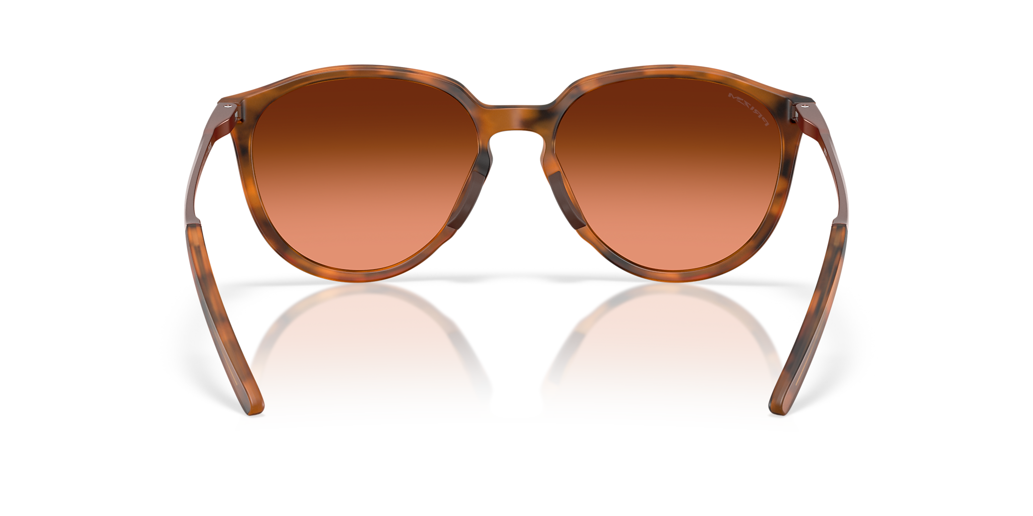 Matte Ginger Tortoise