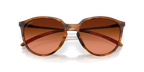 Matte Ginger Tortoise