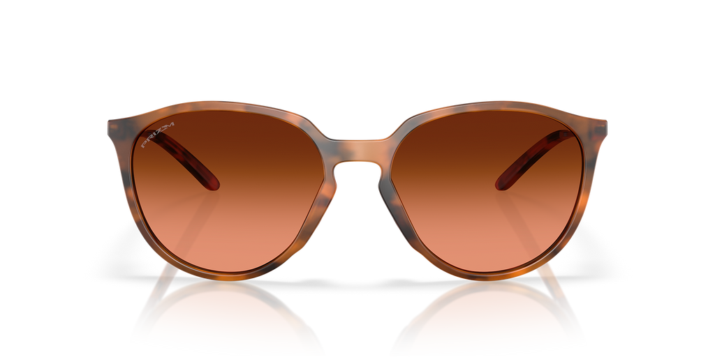 Matte Ginger Tortoise