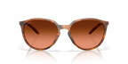 Matte Ginger Tortoise