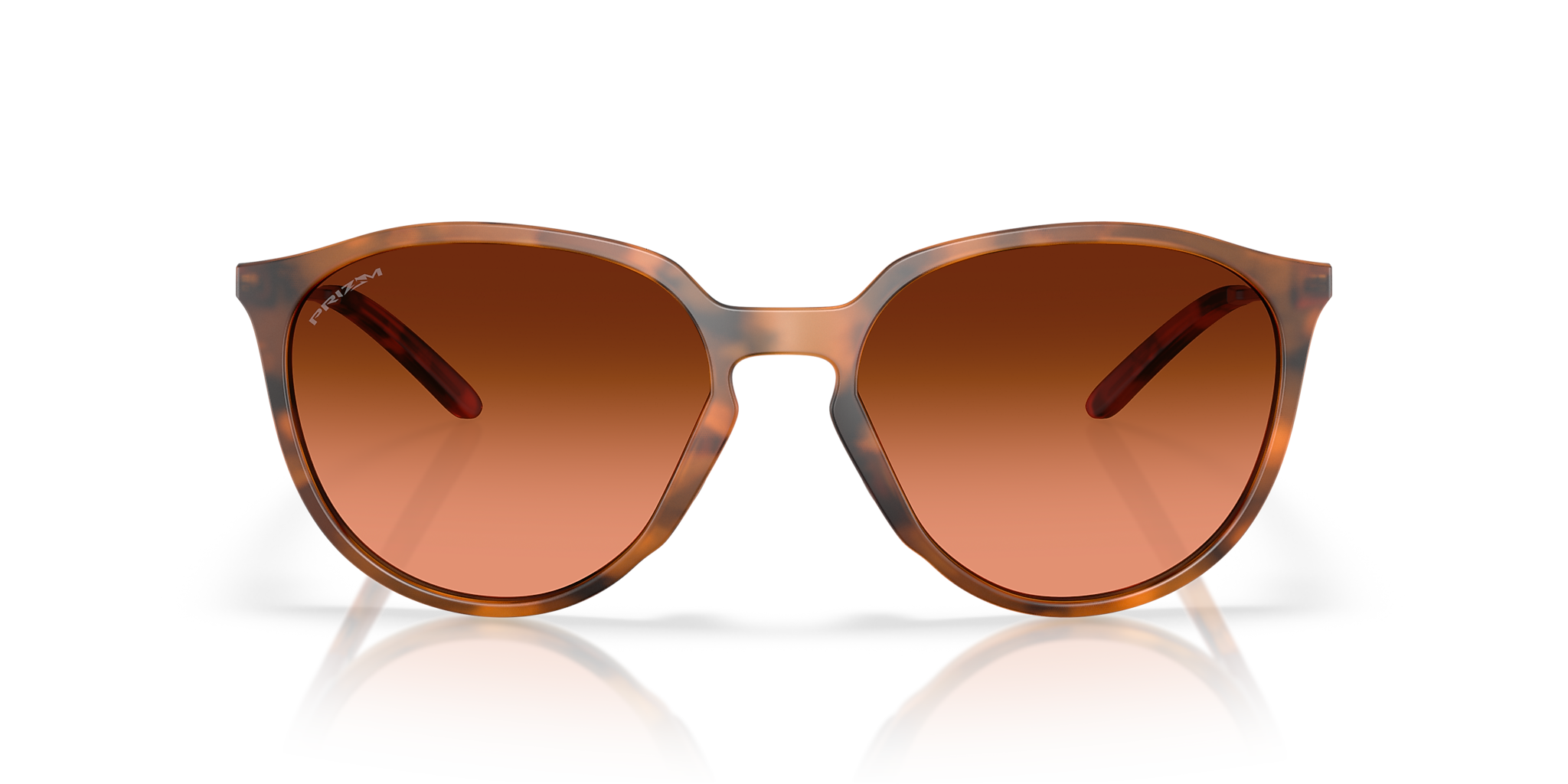 Matte Ginger Tortoise