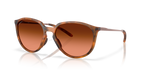 Matte Ginger Tortoise