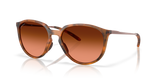 Matte Ginger Tortoise - Prizm Brown Gradient