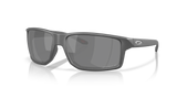 Steel - Prizm Black Polarized