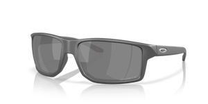 Steel - Prizm Black Polarized