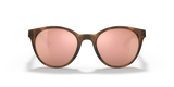 Matte Brown Tortoise