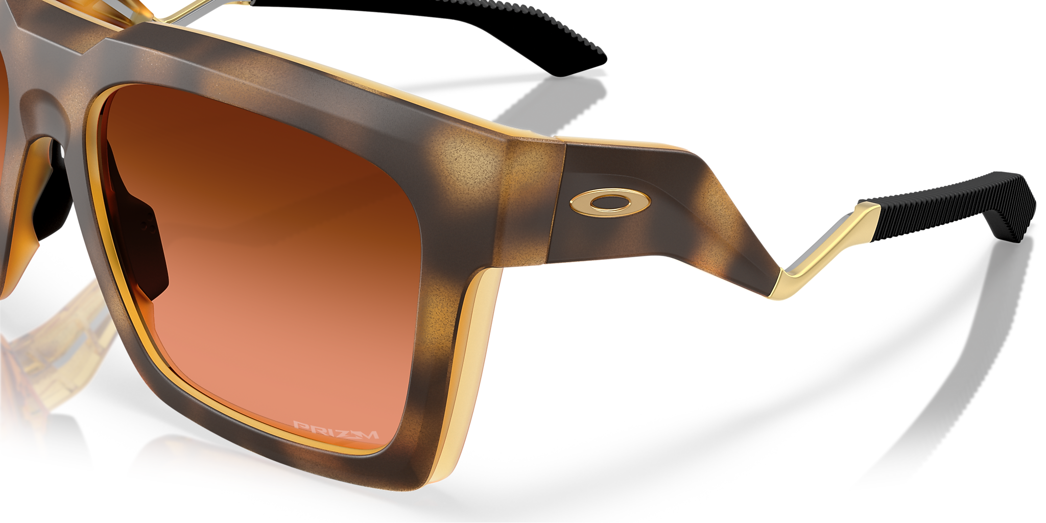 Polished Brown Tortoise