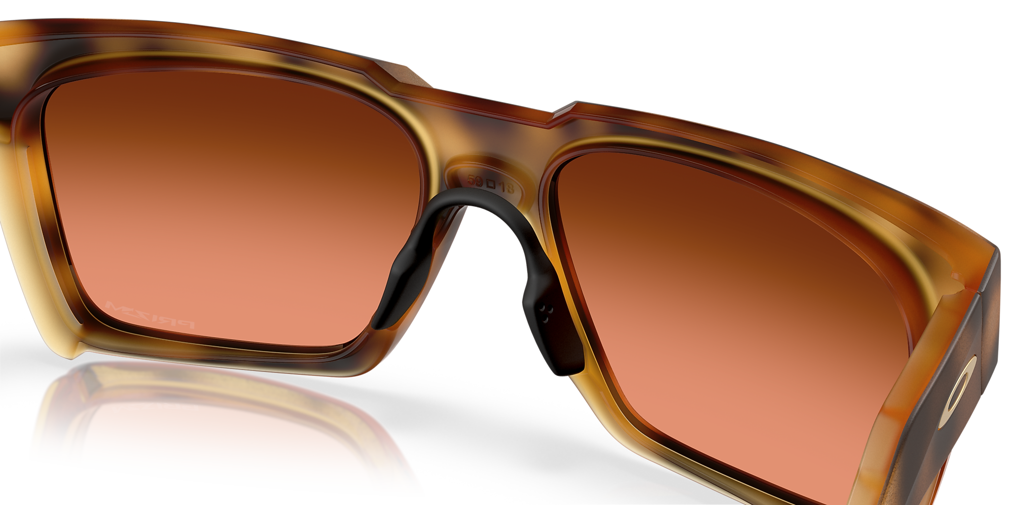 Polished Brown Tortoise