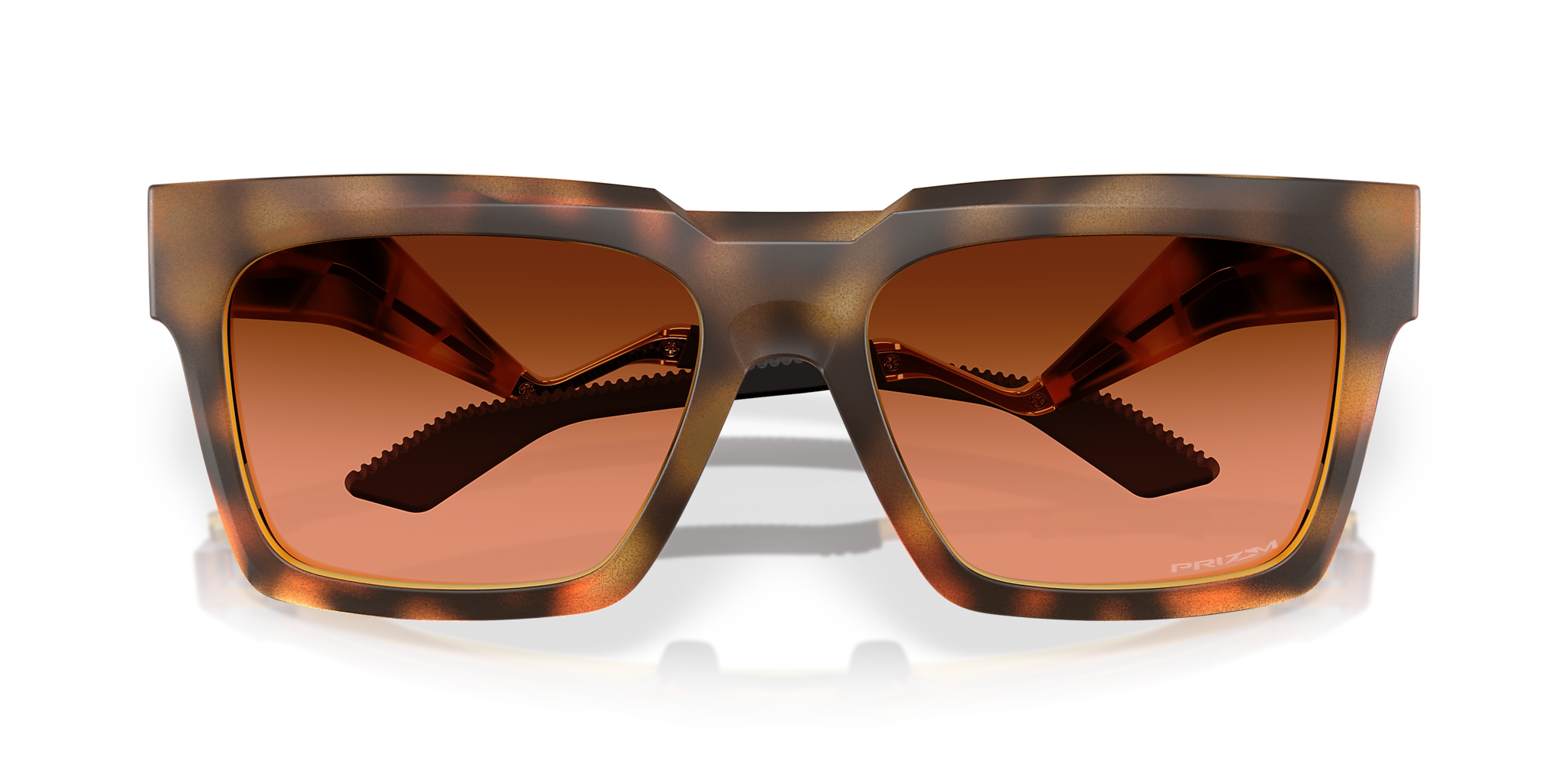 Polished Brown Tortoise