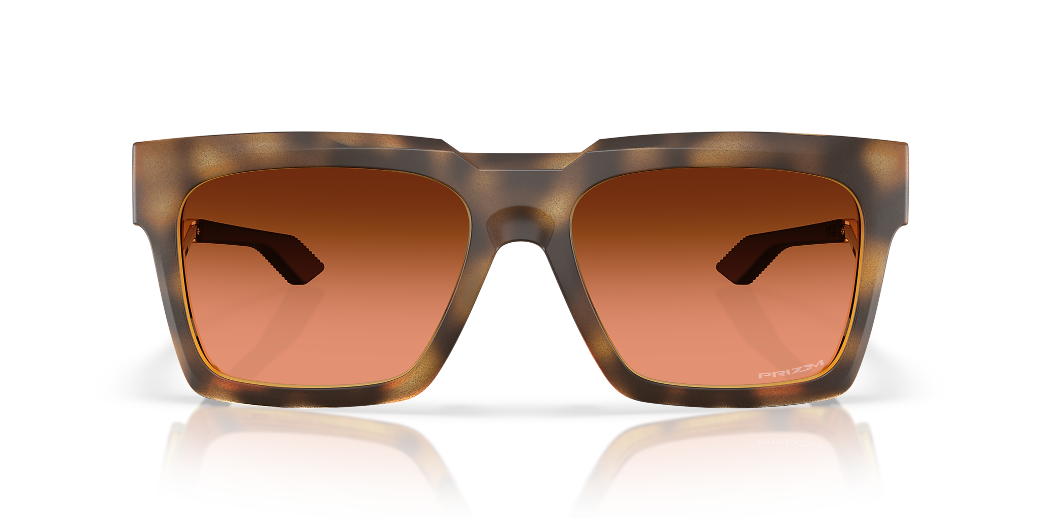 Polished Brown Tortoise