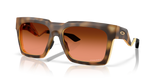 Polished Brown Tortoise