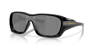 Polished Black - Prizm Black