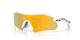 Polished White - Prizm 24K Polarized