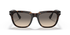Tortoise