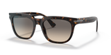 Tortoise  - Clear Gradient Grey