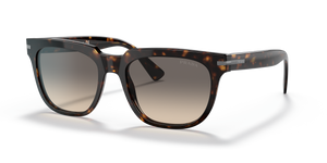Tortoise  - Clear Gradient Grey