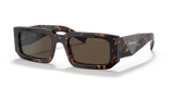 Tortoise  - Dark Brown