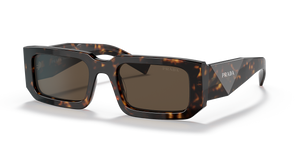 Tortoise  - Dark Brown