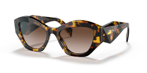 Honey Havana  - Brown Gradient