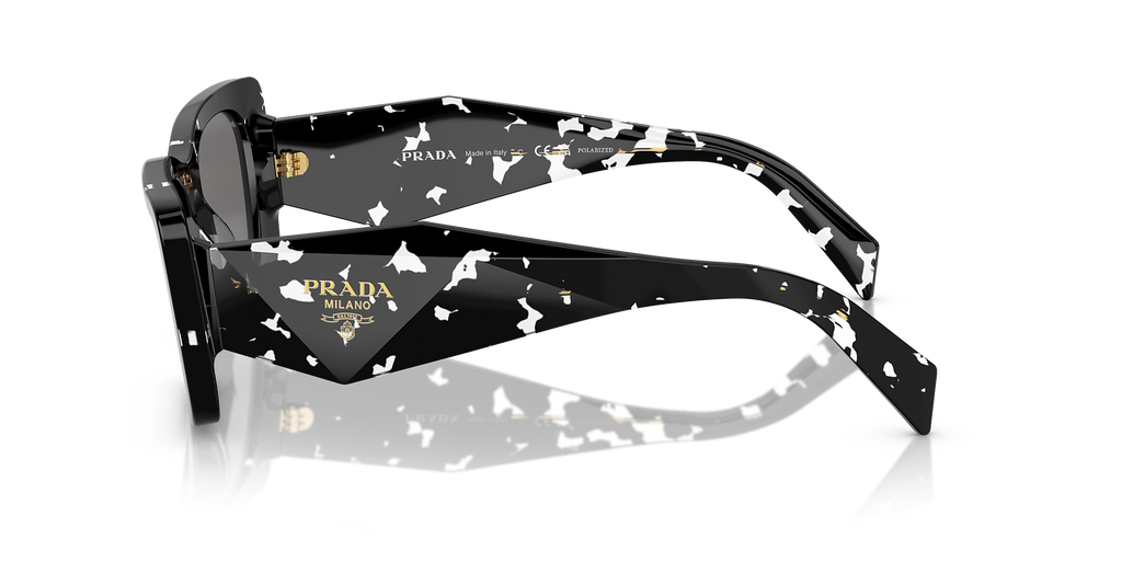 Black Crystal Tortoise