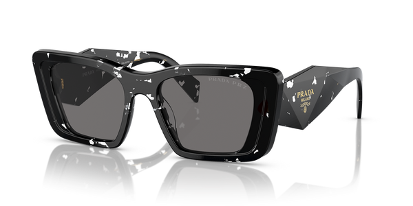 Black Crystal Tortoise