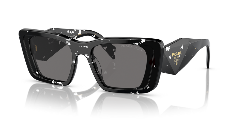 Black Crystal Tortoise