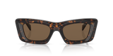Tortoise