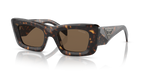 Tortoise