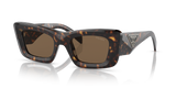 Tortoise