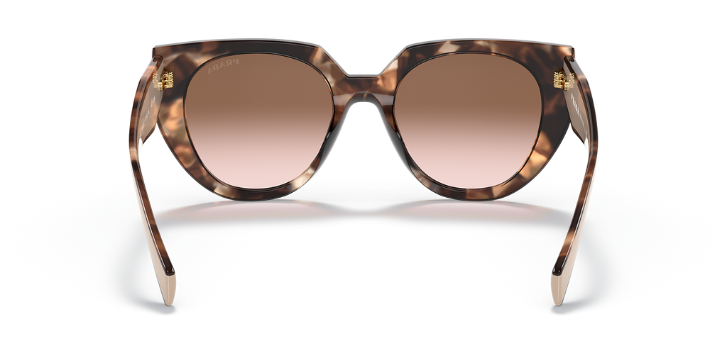 Caramel Tortoise/Powder