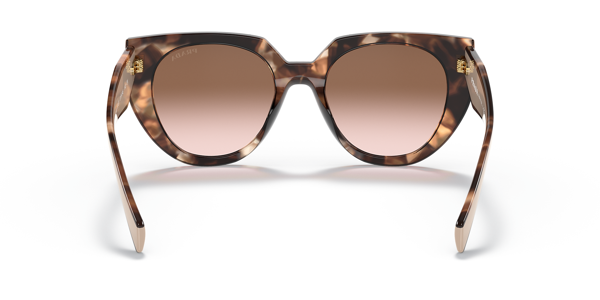 Caramel Tortoise/Powder