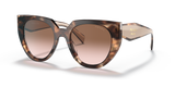 Caramel Tortoise/Powder  - Brown Gradient
