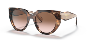 Caramel Tortoise/Powder  - Brown Gradient