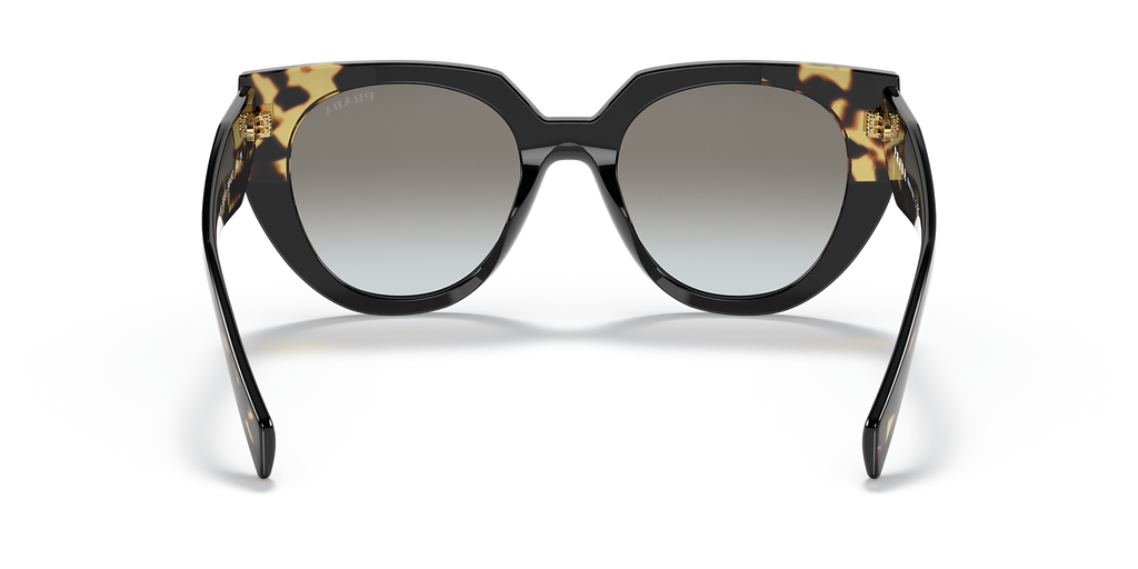 Black/Tortoise