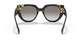 Black/Tortoise