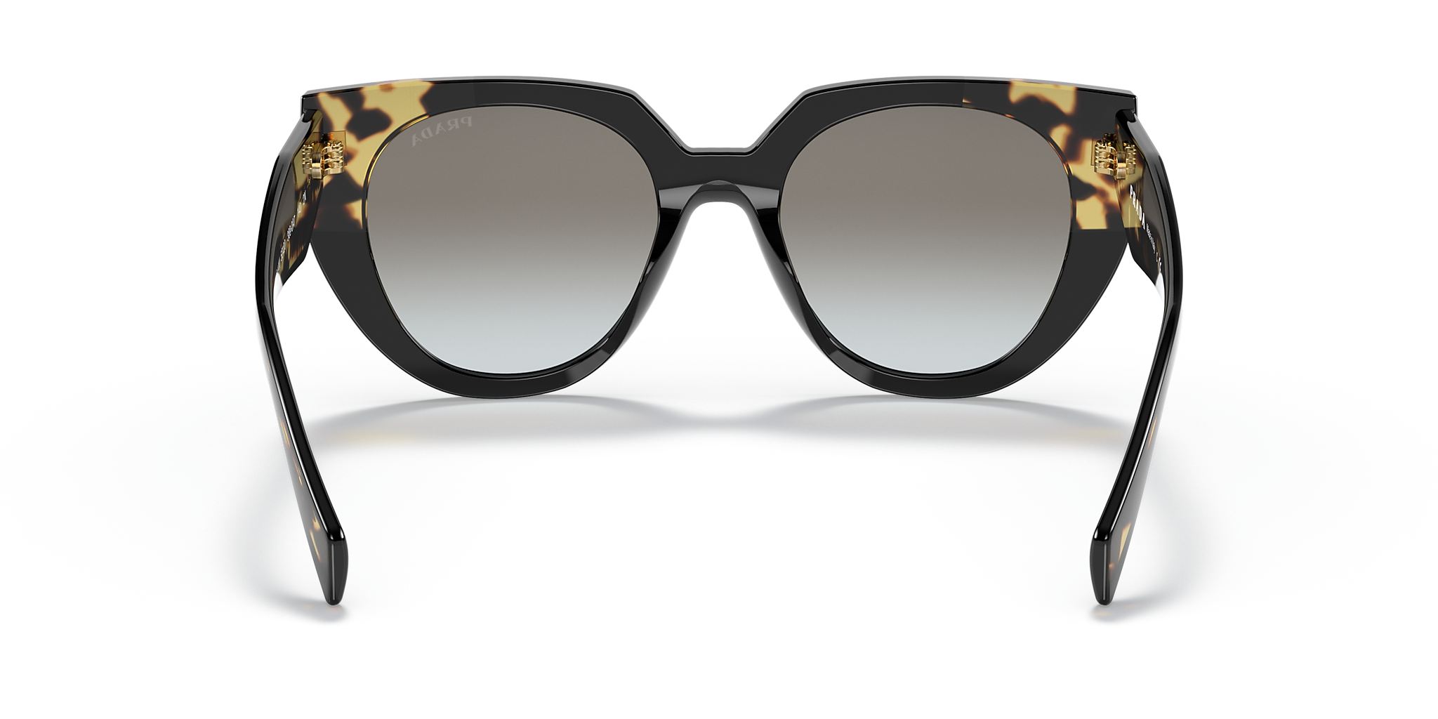 Black/Tortoise