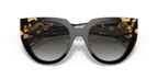 Black/Tortoise