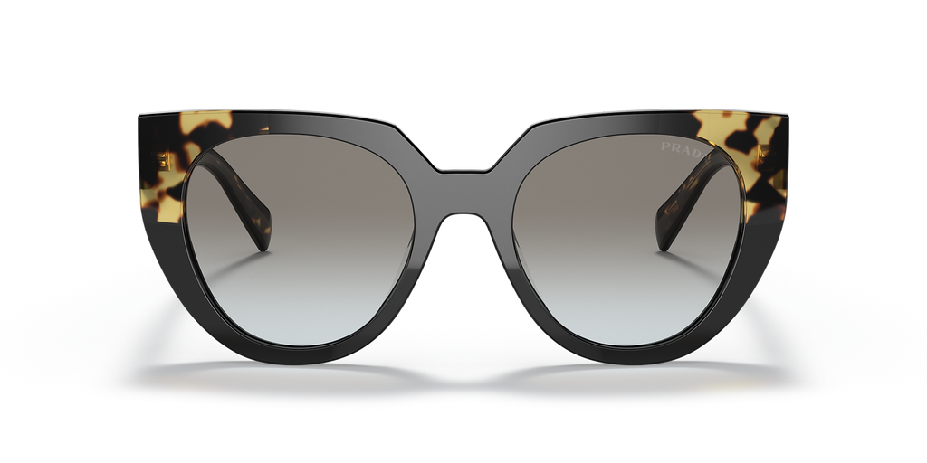 Black/Tortoise