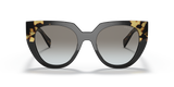 Black/Tortoise