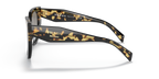 Black/Tortoise
